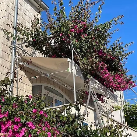 Apartment Gordana Buzolic Hvar Town