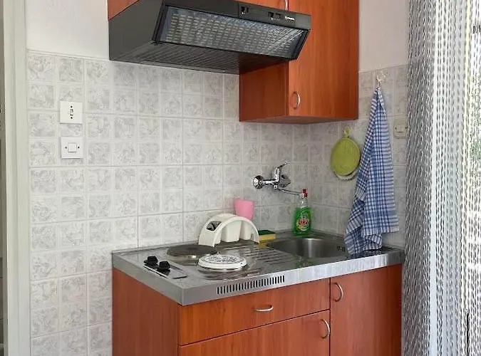 公寓 Gordana Buzolic 赫瓦尔