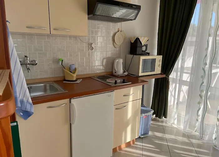 Gordana Buzolic * フヴァル